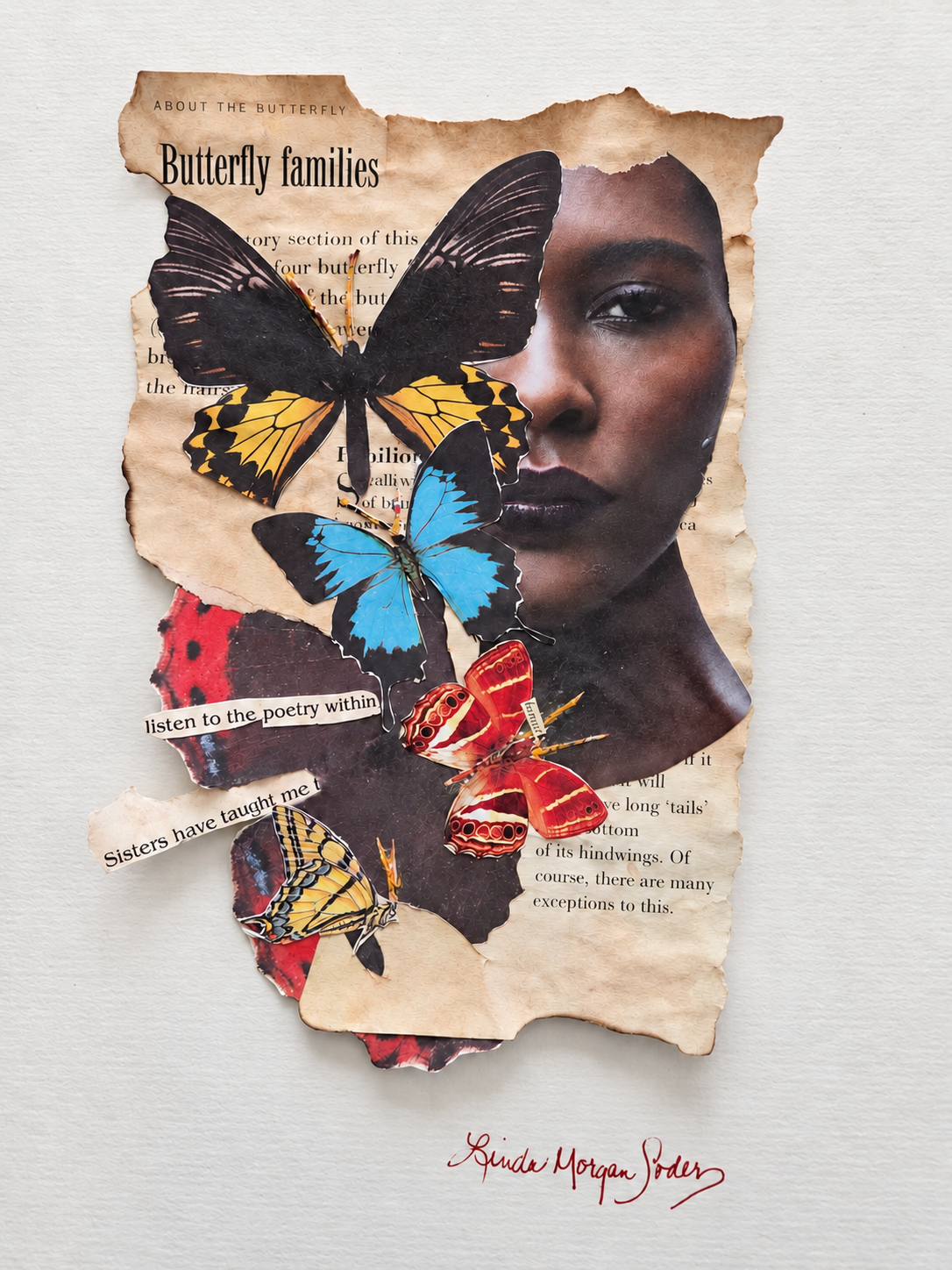 Detail of portrait and butterfly collage