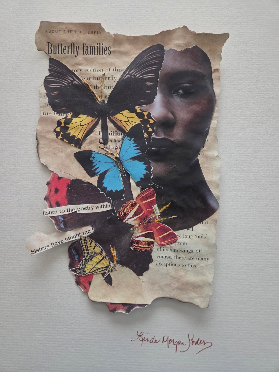 Butterfly and portrait collage detail